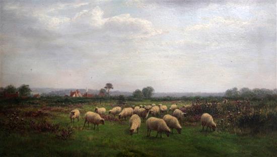 William Luker (1828-1905) Sheep in a meadow at Nuffield, 10 x 17in.